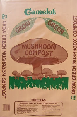mushroom_small